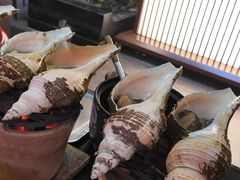 -吴记富苑(朝阳店)