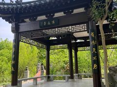 -南汇桃花村