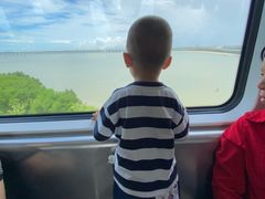 -宝安西湾红树林湿地公园