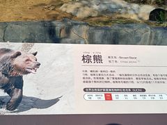 -武汉动物园