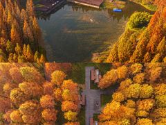 -黄海国家森林公园