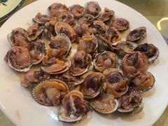 毛酣-上海阿潘舟山海鲜店(东宝兴路店)