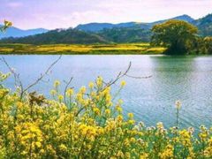 -新安江山水画廊风景区