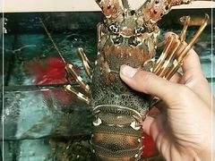 -原龙海鲜大排档(美食地标店)