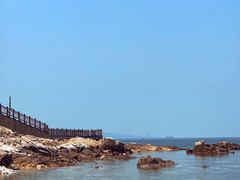 -养马岛旅游度假区