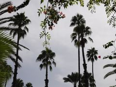 -马洛雷勒花园