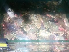 -蟹谢蒸鲜自助餐厅