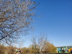 -北京鹿世界主题园