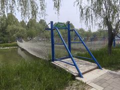 -白洋淀景区