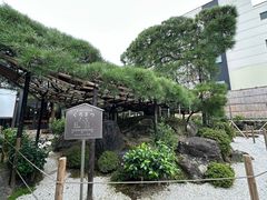 -中村藤吉(本店)