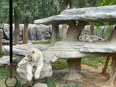 -北京野生动物园