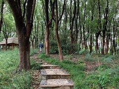 -新洲生态园