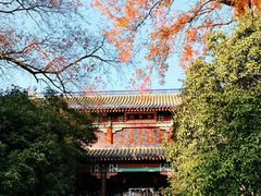 -灵谷景区
