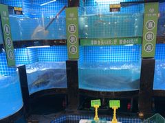 -千岛湖小鱼儿·淳安匠心农家菜