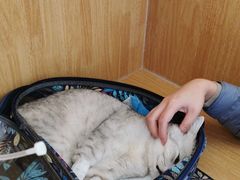 -美联众合动物医院·24h京西诊疗中心
