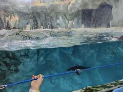 -珠海长隆海洋王国