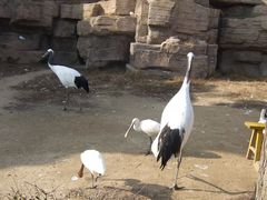 -辽沈战役纪念馆