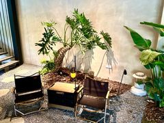 -J Create城市露营咖啡·简餐·宠物(上海动物园店)