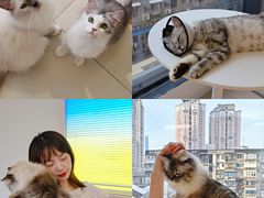 -怪兽屋·羊驼·猫咖·狗咖(俊华广场店)