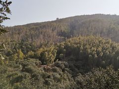 -梅岭月亮湾山体公园