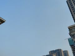 -羊汤研究所(茶苑海口路店)