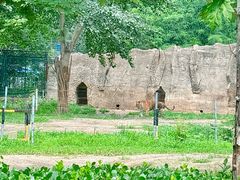 -秦皇岛野生动物园