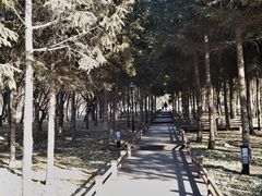 -吉林大学(前卫南校区)