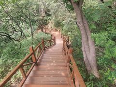 -大岭沟猕猴桃谷风景区