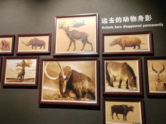 -大庆市博物馆