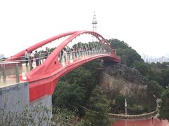 -金鸡山公园