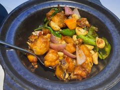 -鸽小宝(深圳首店)