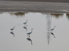 -党河风情线国家水利风景区