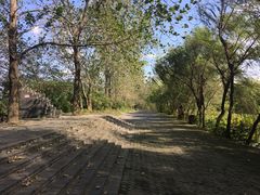 -溱湖国家湿地公园