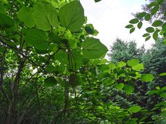 -长春市南湖公园