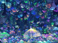 -天津梵高星空艺术馆(天河城旗舰店)