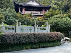 -十八棵（老龙井）御茶园(老龙井店)