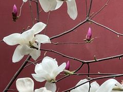 -西安市广仁寺