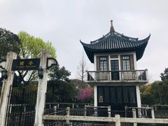 -上海漕河泾万丽酒店