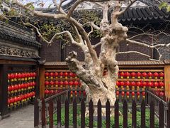 -中山詹园
