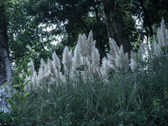 -重庆平顶山公园