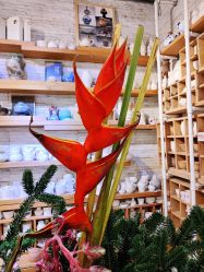 -今日陶艺(富力广场店)