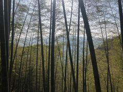 -藏龙百瀑风景区