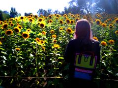 -长白岛森林公园