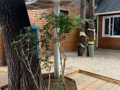 -世纪飞马幼儿园(西城校区)