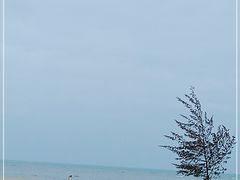 -白沙门生态公园