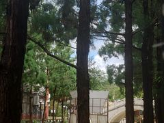 -东涌水乡风情街