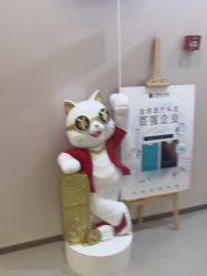-小忠丽格医美