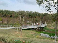 -东莞植物园