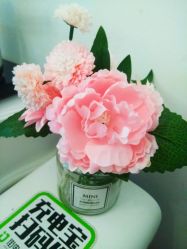 -美肤盾祛痘·问题肌头疗管理中心