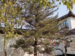 -东山雕花楼